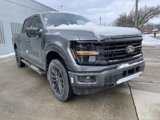 New 2025 Ford F150 XLT image 2