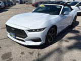 Used 2024 Ford Mustang Premium image 2