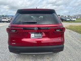 New 2025 Toyota Grand Highlander AWD image 4