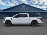 New 2025 Ford F150 XLT w/ Equipment Group 302A MID image 3