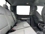 New 2025 Ford F150 XLT w/ Equipment Group 302A MID image 5