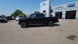 New 2025 Ford F250 Platinum image 2