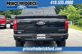New 2025 Ford F150 XLT w/ Equipment Group 302A MID image 4