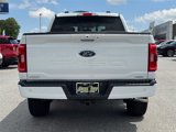 Used 2023 Ford F150 XLT w/ Equipment Group 302A High image 4
