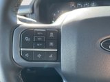 New 2025 Ford F150 XLT w/ Equipment Group 302A MID image 5