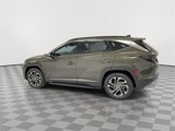 Used 2025 Hyundai Tucson Limited image 6