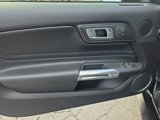Used 2019 Ford Mustang GT Premium w/ GT Performance Package image 5