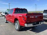 New 2025 Ford F150 Lariat w/ Equipment Group 501A Mid image 6