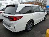 Certified 2025 Honda Odyssey Touring image 4