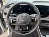 New 2026 Kia Carnival SX image 6
