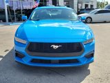 Used 2024 Ford Mustang Premium image 2
