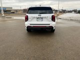 New 2025 Hyundai Palisade Calligraphy image 4
