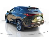 New 2025 Lexus NX 300h AWD w/ Luxury Package image 3