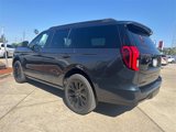New 2025 Ford Expedition Platinum image 3