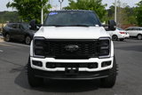 Used 2025 Ford F450 Platinum w/ FX4 Off-Road Package image 3