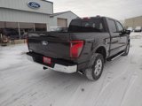 New 2024 Ford F150 XLT w/ Equipment Group 302A MID image 5