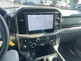 New 2025 Ford F150 XLT w/ Equipment Group 301A Standard image 2