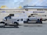 New 2025 Ford F250 Platinum image 5