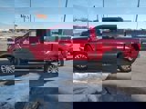 New 2025 Ford F150 XLT w/ Equipment Group 302A MID image 4