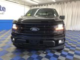 New 2025 Ford F150 XLT w/ Equipment Group 302A MID image 5