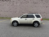 Used 2011 Ford Escape XLT image 2