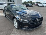 Used 2015 Ford Mustang GT Premium w/ Equipment Group 401A image 3