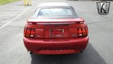 Used 2001 Ford Mustang Cobra image 4