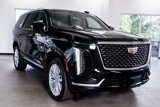 Used 2025 Cadillac Escalade Premium Luxury image 5
