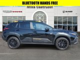 Used 2024 Subaru Crosstrek 2.5i Wilderness image 3