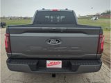 New 2025 Ford F150 XLT image 6
