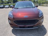 Used 2021 Ford Escape Titanium image 2