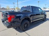 Certified 2024 Ford F150 XLT w/ XLT Black Appearance Package image 5