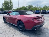 New 2025 Ford Mustang GT Premium image 3