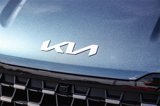 New 2025 Kia Carnival SX image 5