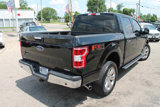 Used 2018 Ford F150 XLT w/ Equipment Group 302A Luxury image 5