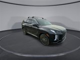 New 2025 Hyundai Palisade Calligraphy image 2