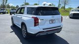 New 2025 Hyundai Palisade Limited image 5