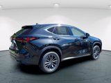 New 2026 Lexus NX 350 AWD w/ Premium Package image 4