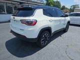Used 2019 Jeep Compass Trailhawk image 3