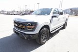 New 2025 Ford F150 Tremor image 3
