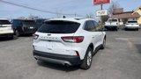 Used 2020 Ford Escape SE image 5