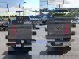 New 2025 Ford F150 XLT w/ Equipment Group 302A MID image 5