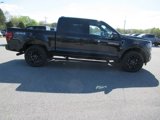 New 2025 Ford F150 Platinum image 4