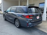 New 2025 Honda Odyssey Touring image 3