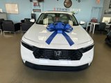 Used 2023 Honda Accord EX image 4