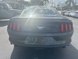 Used 2017 Ford Mustang Coupe w/ Wheel & Stripe Package image 5