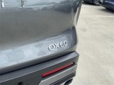 Certified 2024 INFINITI QX60 Pure image 6