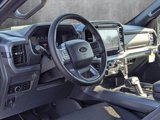 New 2025 Ford F150 XLT w/ Equipment Group 302A MID image 3