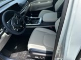 New 2026 Kia Carnival SX Prestige image 5