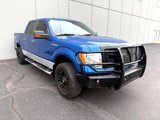 Used 2013 Ford F150 XLT w/ Luxury Equipment Group image 6